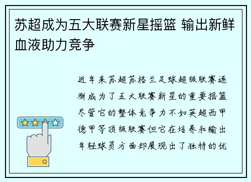 苏超成为五大联赛新星摇篮 输出新鲜血液助力竞争